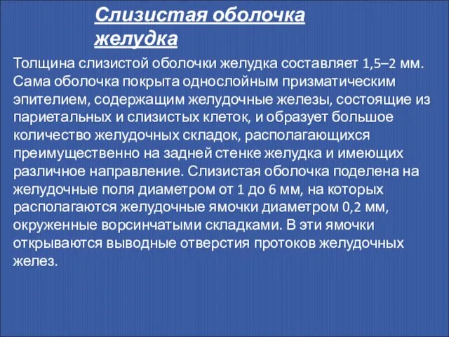 Слизистая оболочка желудка Толщина слизистой оболочки желудка составляет 1,5–2 мм. Сама