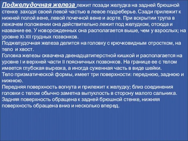 Поджелудочная железа лежит позади желудка на задней брюшной стенке заходя своей