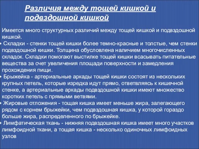 Имеется много структурных различий между тощей кишкой и подвздошной кишкой. Складки