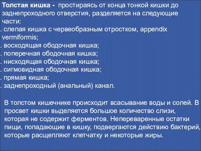 Толстая кишка - простираясь от конца тонкой кишки до заднепроходного отверстия,