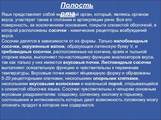 Полость рта Язык представляет собой мышечный орган, который, являясь органом вкуса,