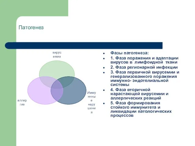 Патогенез Фазы патогенеза: 1. Фаза поражения и адаптации вирусов в лимфоидной