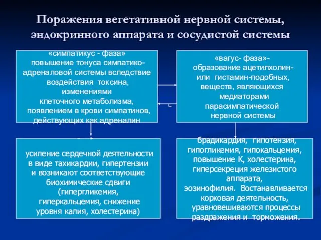 Поражения вегетативной нервной системы, эндокринного аппарата и сосудистой системы «симпатикус -