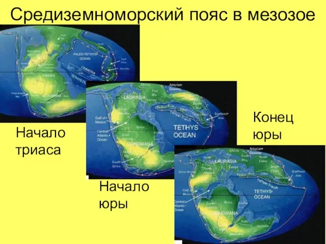 Средиземноморский пояс в мезозое Начало триаса Начало юры Конец юры