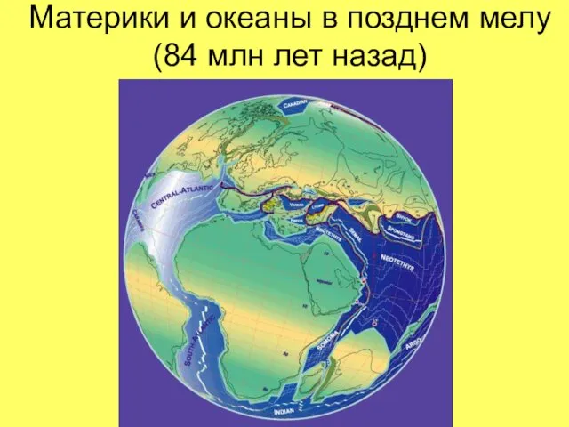 Материки и океаны в позднем мелу (84 млн лет назад)