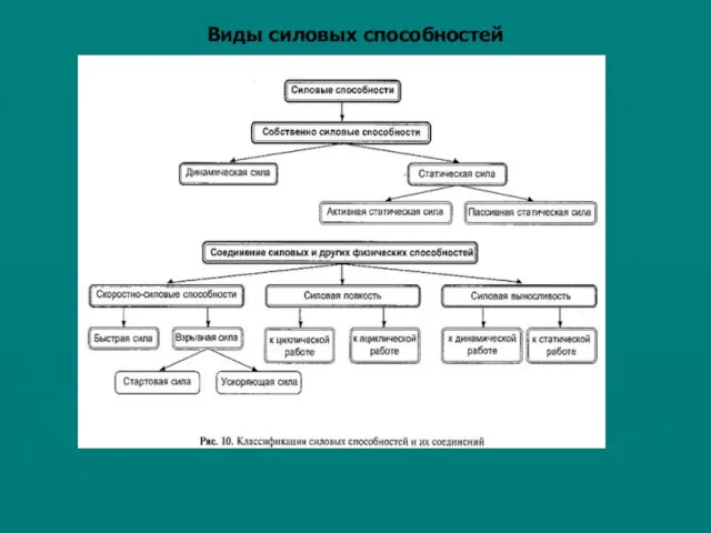 Виды силовых способностей