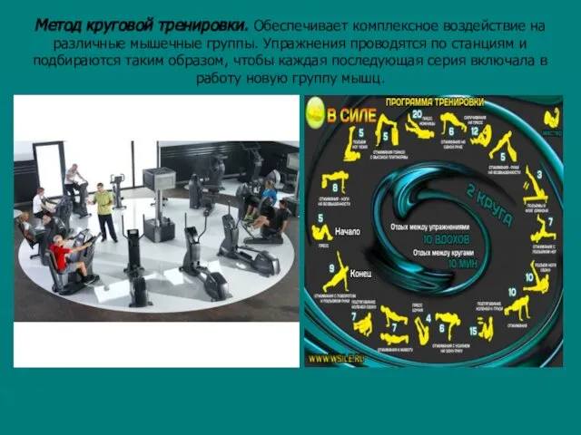 Метод круговой тренировки. Обеспечивает комплексное воздействие на различные мышечные группы. Упражнения