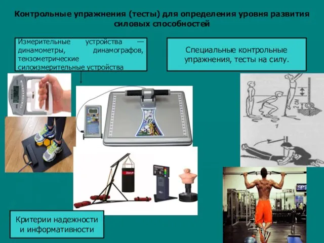 Контрольные упражнения (тесты) для определения уровня развития силовых способностей Измерительные устройства