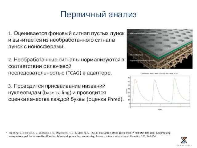 Первичный анализ Børsting, C., Fordyce, S. L., Olofsson, J. K., Mogensen,