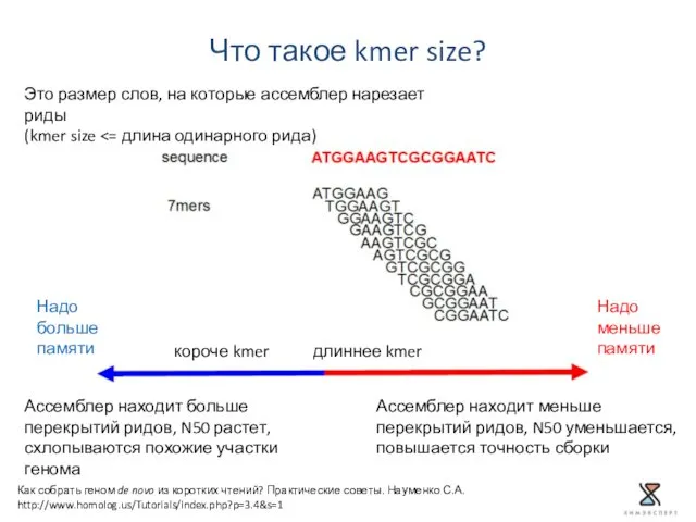 Что такое kmer size? Как собрать геном de novo из коротких