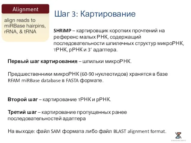 Первый шаг картирования – шпильки микроРНК. Предшественники микроРНК (60-90 нуклеотидов) хранятся