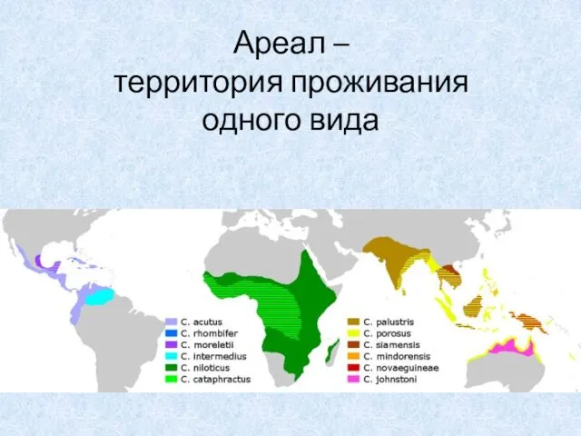 Ареал – территория проживания одного вида