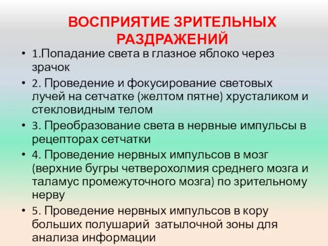 ВОСПРИЯТИЕ ЗРИТЕЛЬНЫХ РАЗДРАЖЕНИЙ 1.Попадание света в глазное яблоко через зрачок 2.