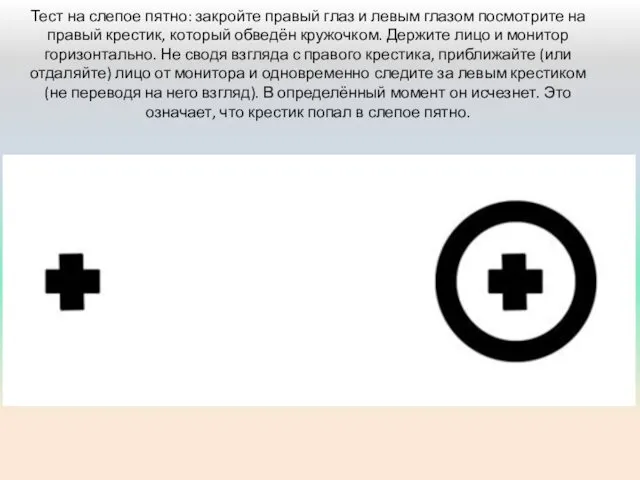 Тест на слепое пятно: закройте правый глаз и левым глазом посмотрите