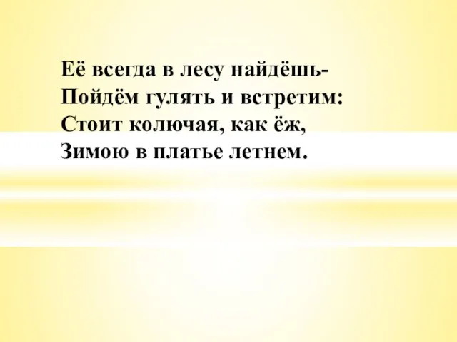 Её всегда в лесу найдёшь- Пойдём гулять и встретим: Стоит колючая,