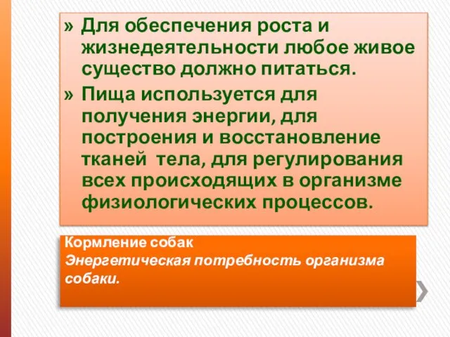 Кормление собак Энергетическая потребность организма собаки. Для обеспечения роста и жизнедеятельности