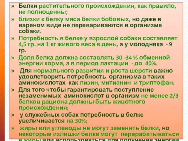 Белки растительного происхождения, как правило, не полноценны; близки к белку мяса