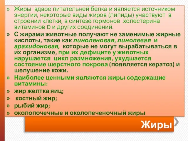 Жиры Жиры вдвое питательней белка и является источником энергии, некоторые виды