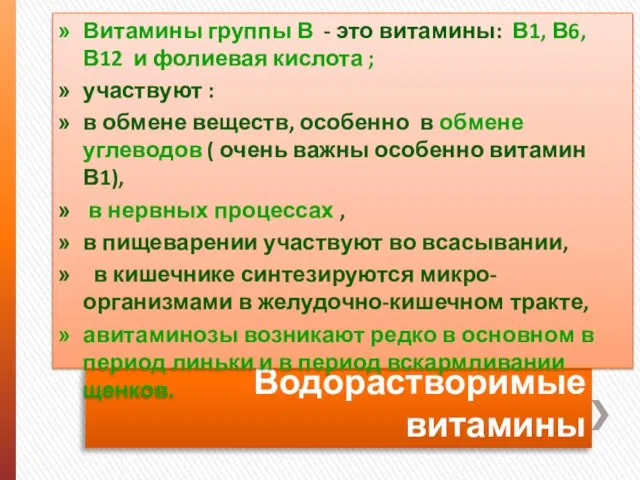 Водорастворимые витамины Витамины группы В - это витамины: В1, В6, В12