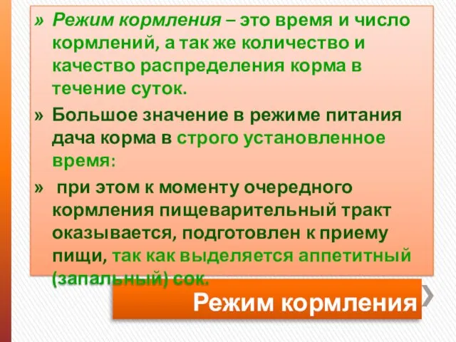 Режим кормления Режим кормления – это время и число кормлений, а