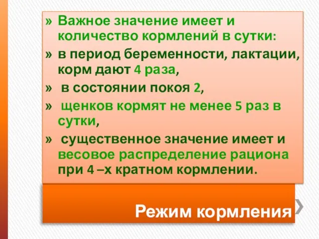 Режим кормления Важное значение имеет и количество кормлений в сутки: в