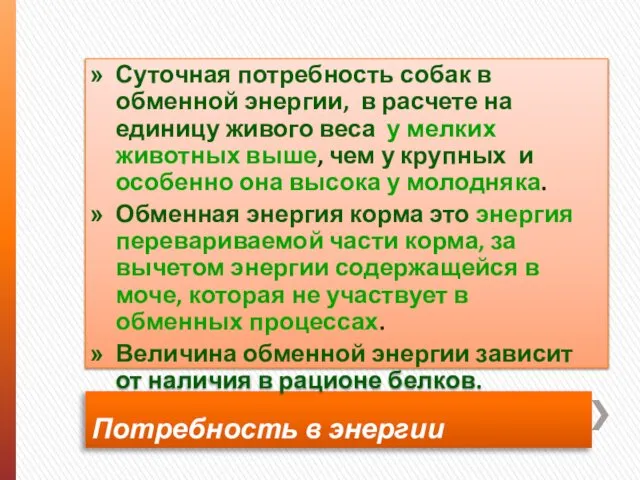 Потребность в энергии Суточная потребность собак в обменной энергии, в расчете