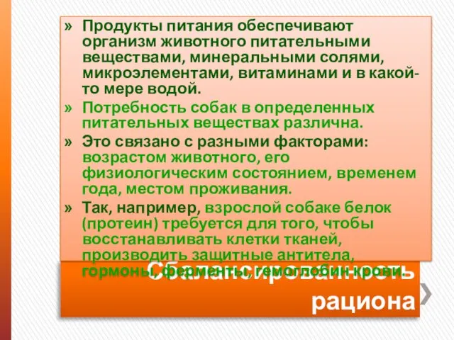 Сбалансированность рациона Продукты питания обеспечивают организм животного питательными веществами, минеральными солями,