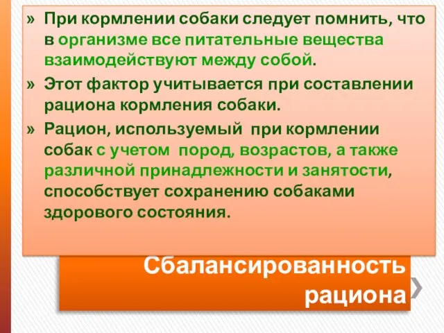 Сбалансированность рациона При кормлении собаки следует помнить, что в организме все