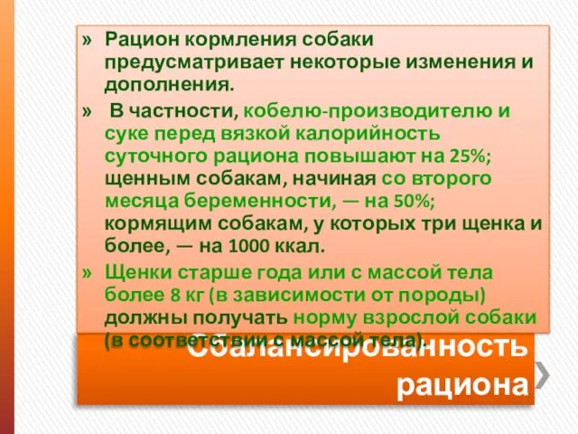 Сбалансированность рациона Рацион кормления собаки предусматривает некоторые изменения и дополнения. В