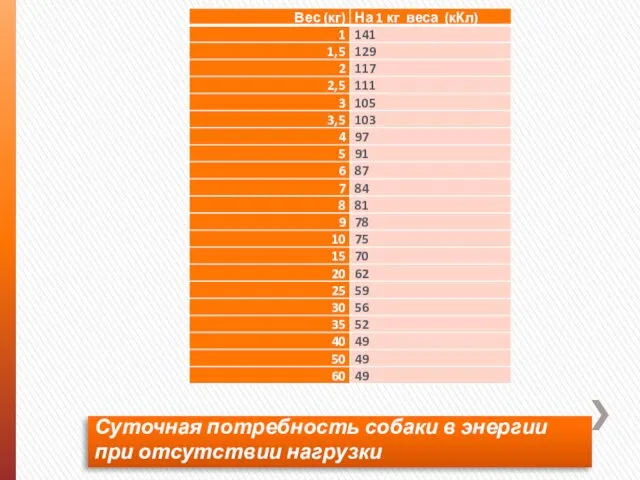 Суточная потребность собаки в энергии при отсутствии нагрузки