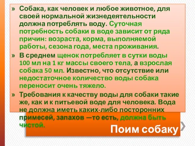 Поим собаку Собака, как человек и любое животное, для своей нормальной