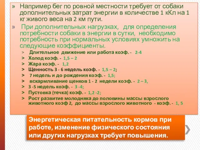 Энергетическая питательность кормов при работе, изменение физического состояния или других нагрузках