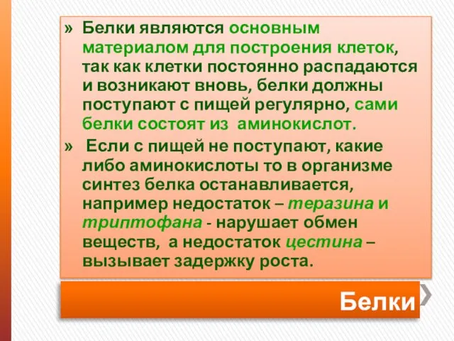 Белки Белки являются основным материалом для построения клеток, так как клетки