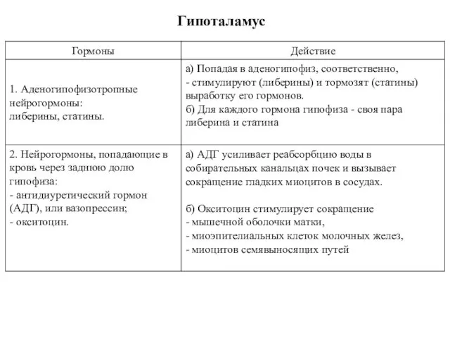 Гипоталамус