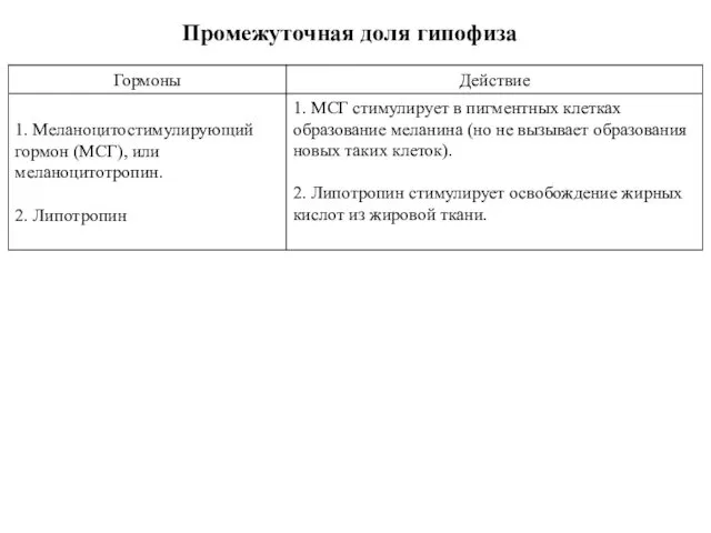 Промежуточная доля гипофиза