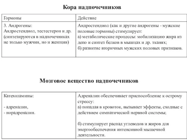 Кора надпочечников Мозговое вещество надпочечников