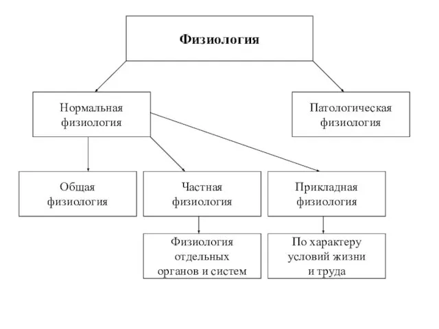 Физиология Общая физиология Частная физиология Прикладная физиология Нормальная физиология Патологическая физиология