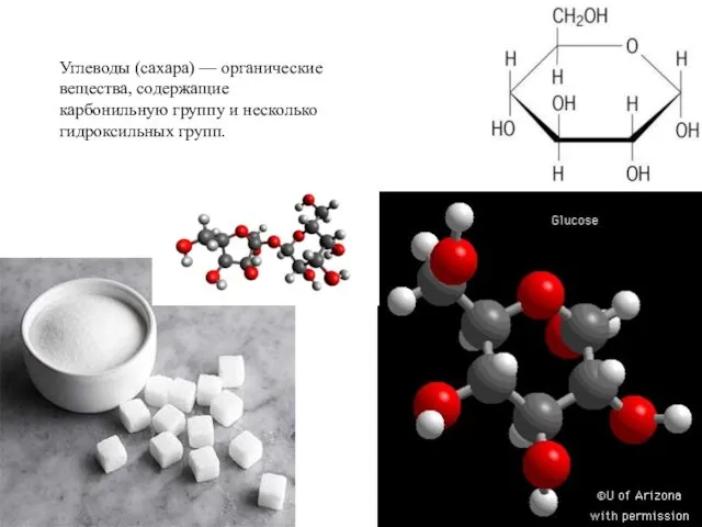Углеводы (сахара) — органические вещества, содержащие карбонильную группу и несколько гидроксильных групп.