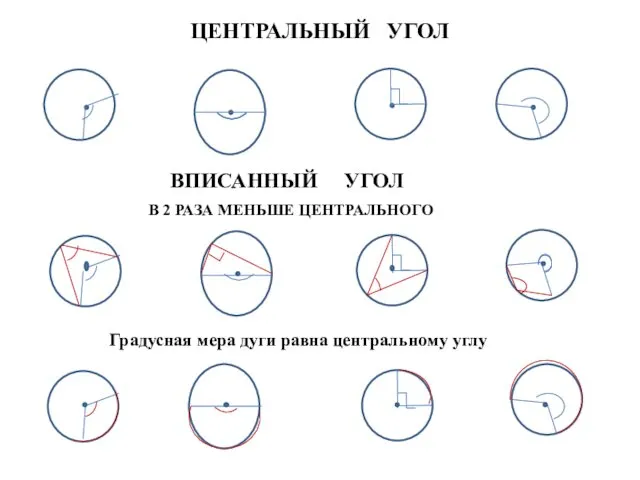 ЦЕНТРАЛЬНЫЙ УГОЛ ВПИСАННЫЙ УГОЛ В 2 РАЗА МЕНЬШЕ ЦЕНТРАЛЬНОГО Градусная мера дуги равна центральному углу