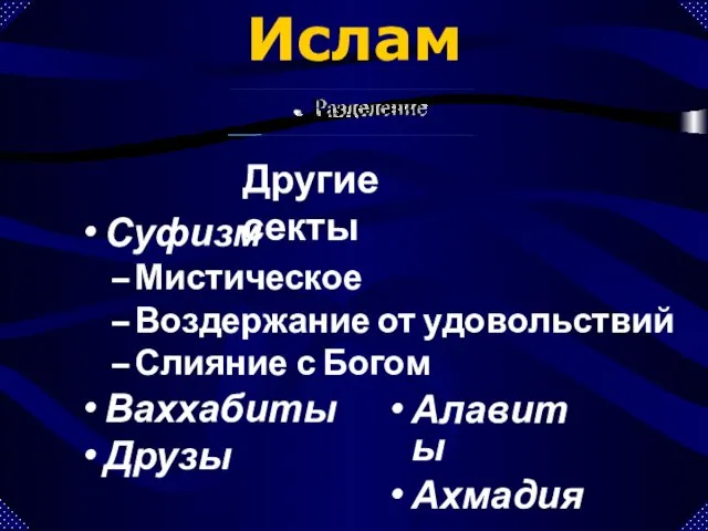 Другие секты Ислам Разделение Суфизм Мистическое Воздержание от удовольствий Слияние с Богом Ваххабиты Друзы Алавиты Ахмадия