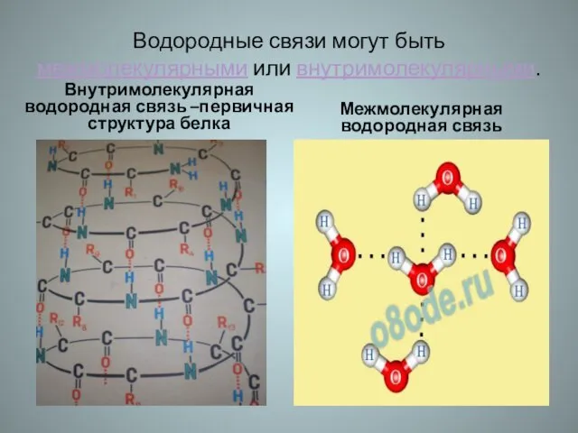 Водородные связи могут быть межмолекулярными или внутримолекулярными. Внутримолекулярная водородная связь –первичная структура белка Межмолекулярная водородная связь