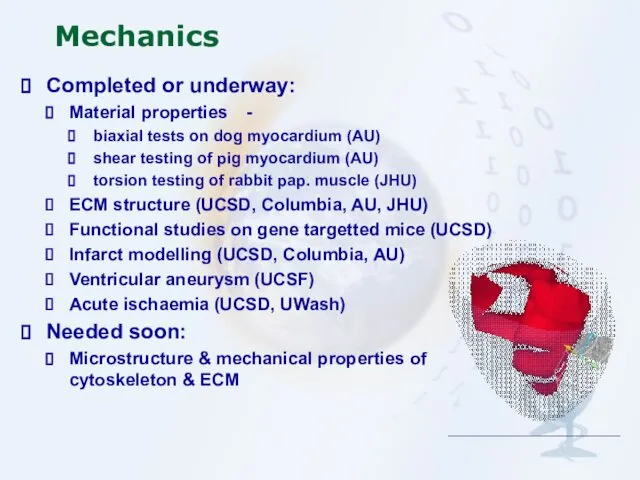 Mechanics Completed or underway: Material properties - biaxial tests on dog