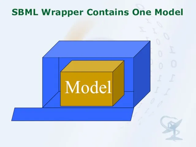 SBML Wrapper Contains One Model Model