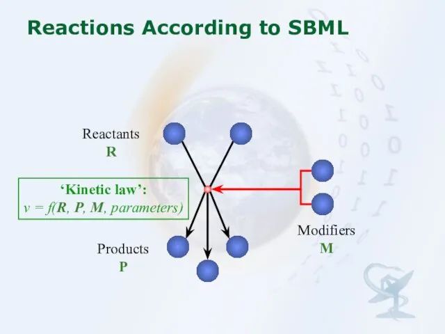 Reactions According to SBML Reactants R Products P Modifiers M ‘Kinetic