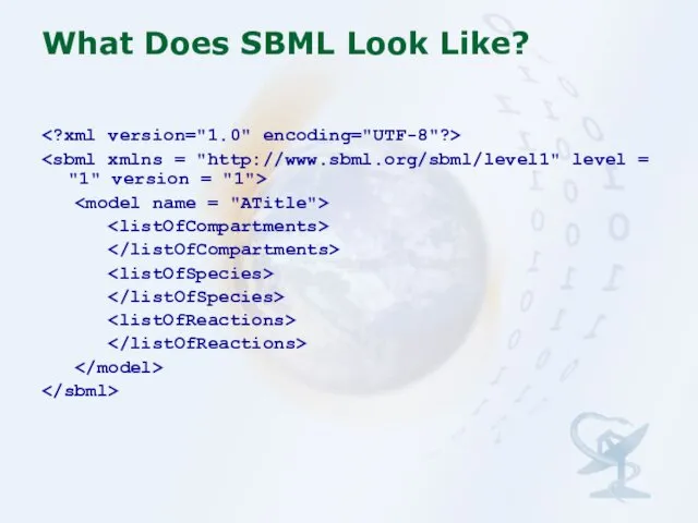 What Does SBML Look Like?