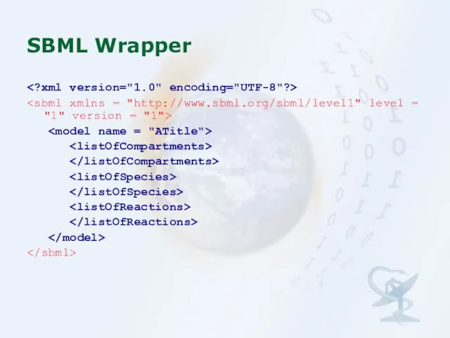 SBML Wrapper