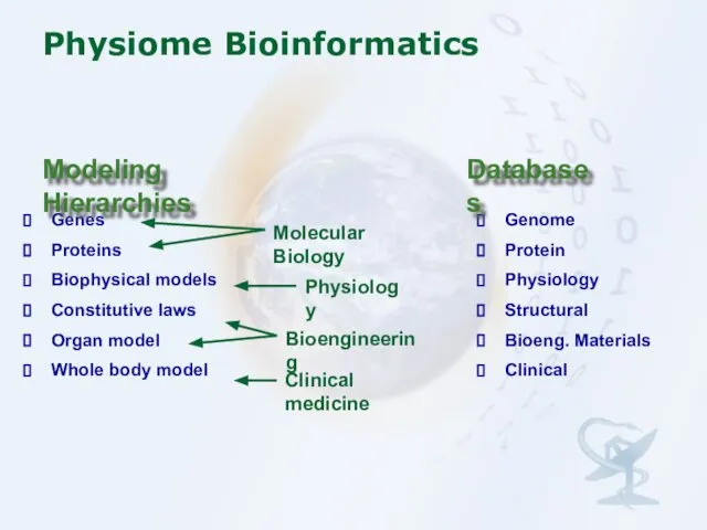 Physiome Bioinformatics Genes Proteins Biophysical models Constitutive laws Organ model Whole