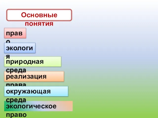 право экологическое право реализация права природная среда Основные понятия окружающая среда экология