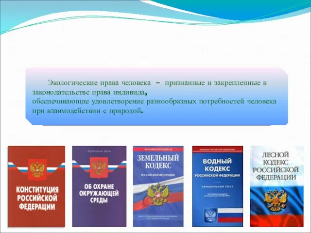 экологические права относятся к категории неотчуждаемых, естественных прав человека Экологические права