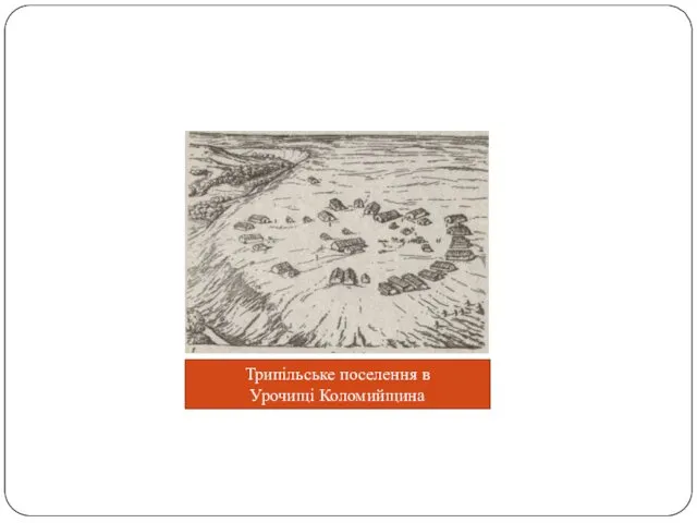 Трипільське поселення в Урочищі Коломийщина